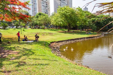 Goinia şehrindeki Flamboyant Park 'ın bir açısında ayrıca Flamboyant (Delonix regia) adı verilen bir ağaç da çiçek açar. Yürüyecek ve dinlenecek bir yer.