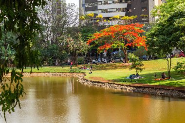 Goinia şehrindeki Flamboyant Park 'ın bir açısında ayrıca Flamboyant (Delonix regia) adı verilen bir ağaç da çiçek açar. Yürüyecek ve dinlenecek bir yer.
