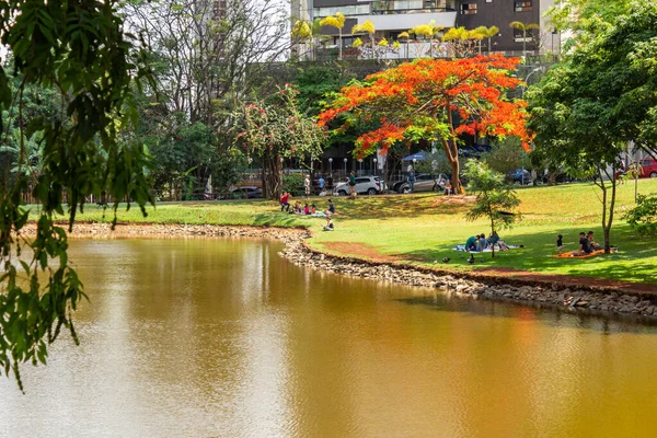 Ein Winkel Des Flamboyant Parks Der Stadt Goinia Ein Auch — Stockfoto