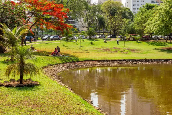 Ein Winkel Des Flamboyant Parks Der Stadt Goinia Ein Auch — Stockfoto