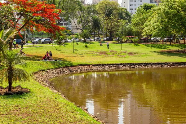 Ein Winkel Des Flamboyant Parks Der Stadt Goinia Ein Auch — Stockfoto