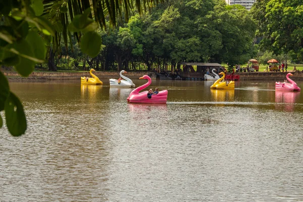 Detail Des Lake Roses Mit Tretbooten Für Leute Die Spaß — Stockfoto