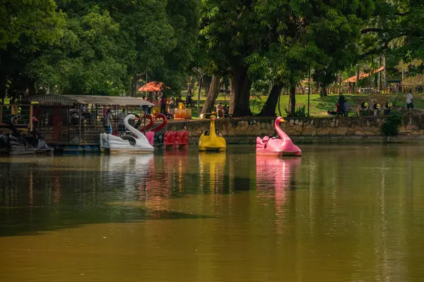 Detail Lake Roses Pedal Boats People Have Fun Lago Das — стоковое фото