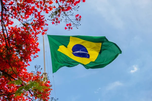Флаг Бразилии Развевается Ветру Яркими Цветами Сбоку Голубым Небом Заднем — стоковое фото