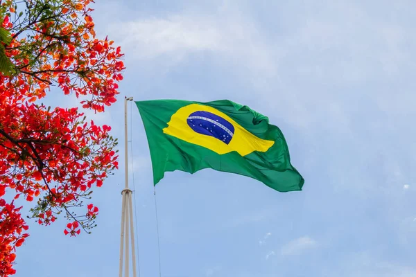 Флаг Бразилии Развевается Ветру Яркими Цветами Сбоку Голубым Небом Заднем — стоковое фото