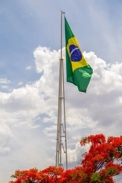 Bandeira Brasil Voando Com Céu Nublado Fundo Flores Flamboyant Delonix — Fotografia de Stock