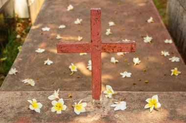Mezarlıktaki ağaçtan düşen çiçeklerle dolu bir mezarın üzerinde bir haç. Aparecida de Goiania 'daki bir mezarlıkta..