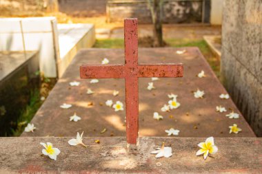 Mezarlıktaki ağaçtan düşen çiçeklerle dolu bir mezarın üzerinde bir haç. Aparecida de Goiania 'daki bir mezarlıkta..