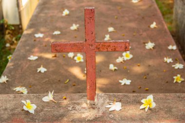 Mezarlıktaki ağaçtan düşen çiçeklerle dolu bir mezarın üzerinde bir haç. Aparecida de Goiania 'daki bir mezarlıkta..
