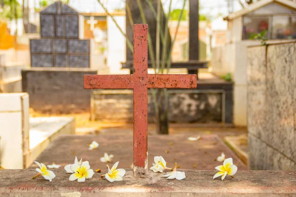 위에는 의나무에서 떨어진 꽃들로 십자가가 세워져 있었다 Aparecida Goiania — 스톡 사진