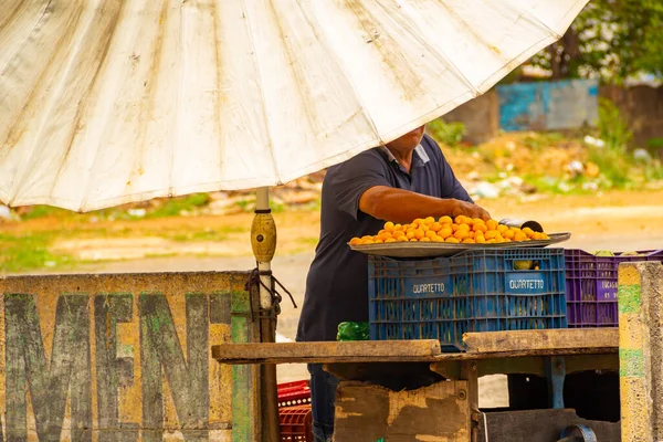 Seller Pequi Stall Public Parking Lot Pequi Typical Fruit Brazilian — Stock Photo, Image