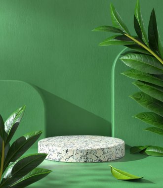 3B Render Boş Beyaz Taş Görünüm Yayası, Yeşil Alçı Arkaplan, Yere Düşen Yaprak