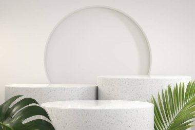 3d Renderleme Adım Beyaz Podyum Gösterimi, Tropik Palmiye Canavarı Soyut Arkaplan
