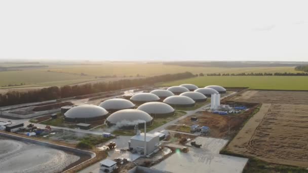 Innovative Anlage auf gelbem Feld. Biogasanlage und Speichertanks. Bau eines Biogaskraftwerks in der Natur. Luftaufnahme. Energiequelle. — Stockvideo