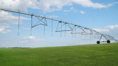 Yeşil ekinleri sulamak için sulama bitkisi. Modern sulama sistemi. Alan dairesel sulama. Kavram: Tarım ya da su kaynağı. n