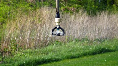 Şiddetli ve uzun süreli ısı süresince bitkilerin büyümesini teşvik etmek için tarım için bir sulama sisteminin yakınlaştırılması. Kavram: Tarım ya da su kaynağı. n