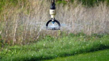 Şiddetli ve uzun süreli ısı süresince bitkilerin büyümesini teşvik etmek için tarım için bir sulama sisteminin yakınlaştırılması. Kavram: Tarım ya da su kaynağı. n