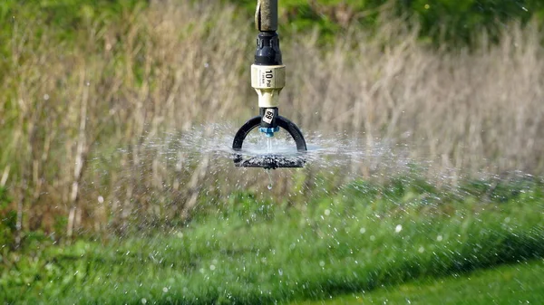 Şiddetli ve uzun süreli ısı süresince bitkilerin büyümesini teşvik etmek için tarım için bir sulama sisteminin yakınlaştırılması. Kavram: Tarım ya da su kaynağı. n
