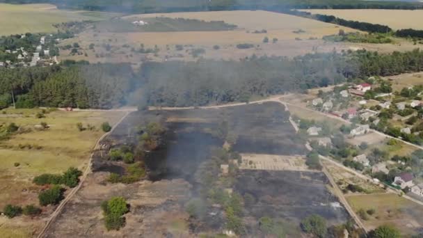 Una Vista Épica Desde Altura Del Humo Fuego Salvaje Grandes — Vídeos de Stock