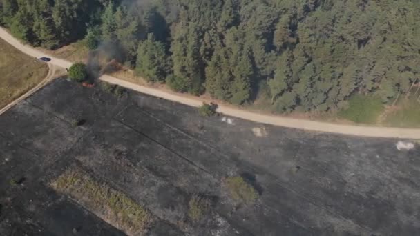 Una Vista Épica Desde Altura Del Humo Fuego Salvaje Grandes — Vídeos de Stock