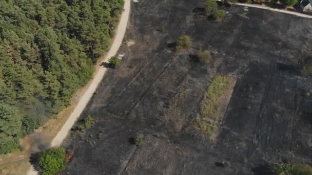 Una Vista Épica Desde Altura Del Humo Fuego Salvaje Grandes — Vídeos de Stock