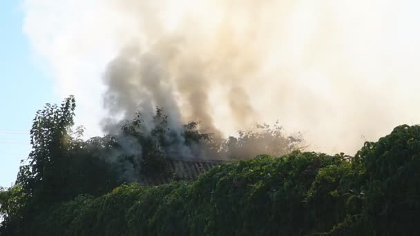 Большой Огонь Большими Облаками Удушающего Дыма Течение Лета Сухая Трава — стоковое видео