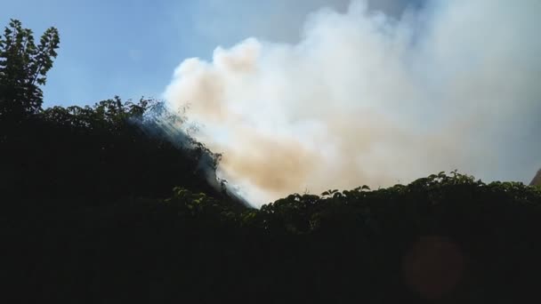 Grande Fogo Com Grandes Nuvens Fumaça Sufocante Durante Verão Queima — Vídeo de Stock