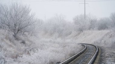 Güzel bir sonbahar sisli kır yolu manzarası. Sonbahar sisli sabahı ve resimli bir ormandaki çimlerin üzerinde donma. n