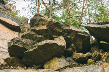 Kozalaklı bir ormanda büyük taşlar. Taş kayalar. Granit ocağı. Terk edilmiş endüstriyel üretim. 