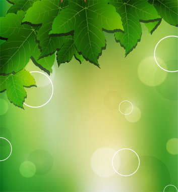 yaprakları arka plan