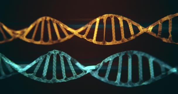 Sfondo Del Concetto Animazione Molecolare Del Dna — Video Stock