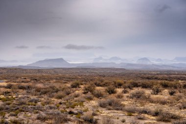 Büyük Virajda Rio Grande 'den Chisos Dağları manzarası