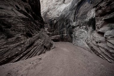 Capitol Resif Ulusal Parkı 'nın köşesindeki Grand Wash Virajı Duvarları