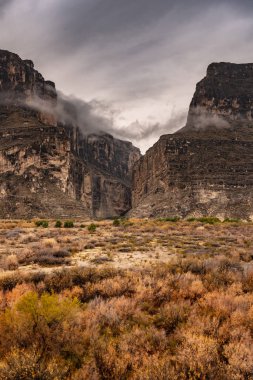 Kahverengi çalılar Santa Elena Kanyonu 'nun altında Büyük Viraj Ulusal Parkı' nda yayılıyor.