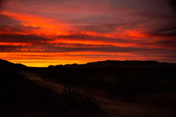 Coucher Soleil Sur Les Collines Vigne Dans Parc National Big — Photo