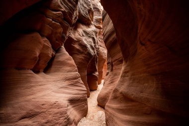 Gün ışığı yavaşça Güney Utah 'taki Wire Pass Kanyonu' na sızıyor.