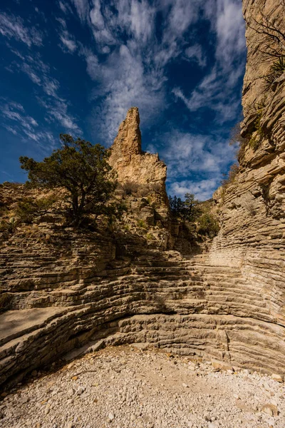 Torr Pool Nedanför Vandrartrappan Guadalupe Mountains Nationalpark — Stockfoto