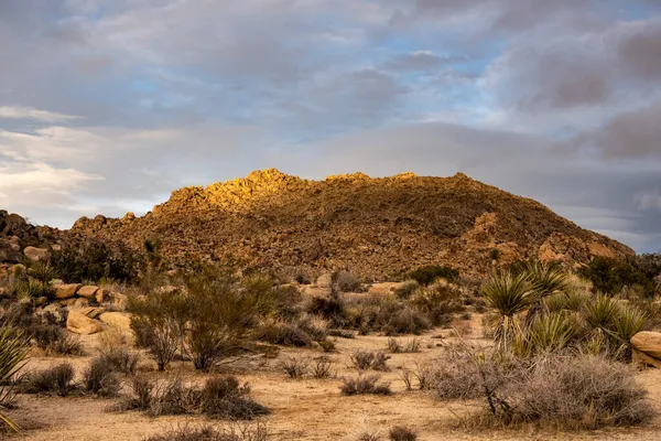 Schwaches Licht Auf Dem Gipfel Eines Felsigen Hügels Joshua Tree — Stockfoto