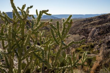 Guadalupe Tepesi 'nden köprüye bakıyorum.