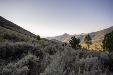 Nevada 'daki Büyük Havza Ulusal Parkı' nın Çilek Deresi Bölgesi 'ndeki Sagebrush Fields.