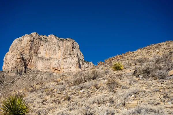 Capitan Und Barbury Schafe Unter Strahlend Blauem Himmel Guadalupe Mountains — Stockfoto
