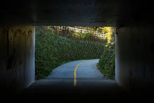 Paredes Verdes Largo Del Acceso Túnel Vía Verde Parque Nacional — Foto de Stock