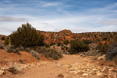 Wash Trail Güney Utah 'ın Koyu Portakal Kayaları' ndan geçerek Wire Pass ve Buckskin Gulch 'a doğru ilerliyor.