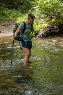 Great Smoky Mountains Ulusal Par 'da Yürüyüş Direği olan Kadın Fords Deresi