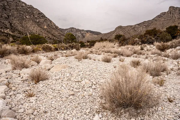 Blekta Vita Stenar Torr Tvätt Guadalupe Mountains Nationalpark — Stockfoto