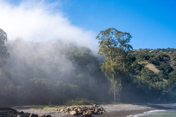 Sgombero Della Nebbia Dallo Sbarco Porto Dei Prigionieri Nel Parco — Foto Stock