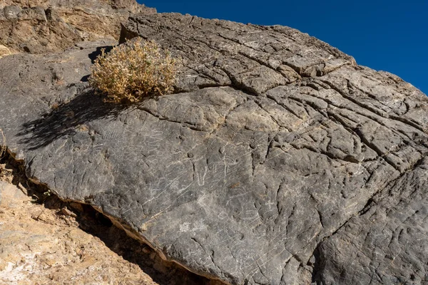 Graffiti Petroglyphs Carved Stone Titus Canyon Death Valley — стокове фото