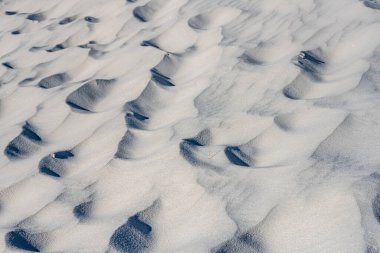 Beyaz Kumlar Ulusal Parkı 'ndaki Beyaz Kum tepeciğindeki Minik Kumullar