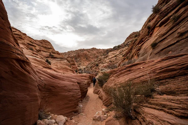 Caminante Dirige Comienzo Del Cañón Ranura Paso Alambre Hacia Buckskin — Foto de Stock