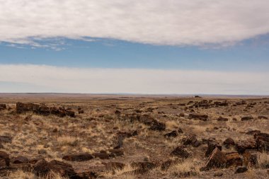 Taşlaşmış Orman Ufku Arizona parkında uzak bir tepenin üzerindeki Akik Ev